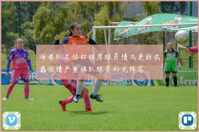 海港队足协杯缺席球员情况更新武磊伤情严重梯队球员补充阵容